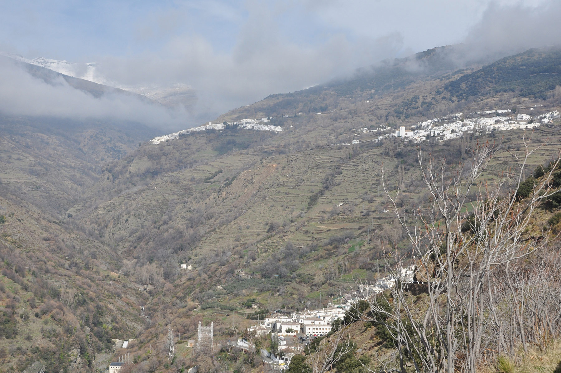 Capileira